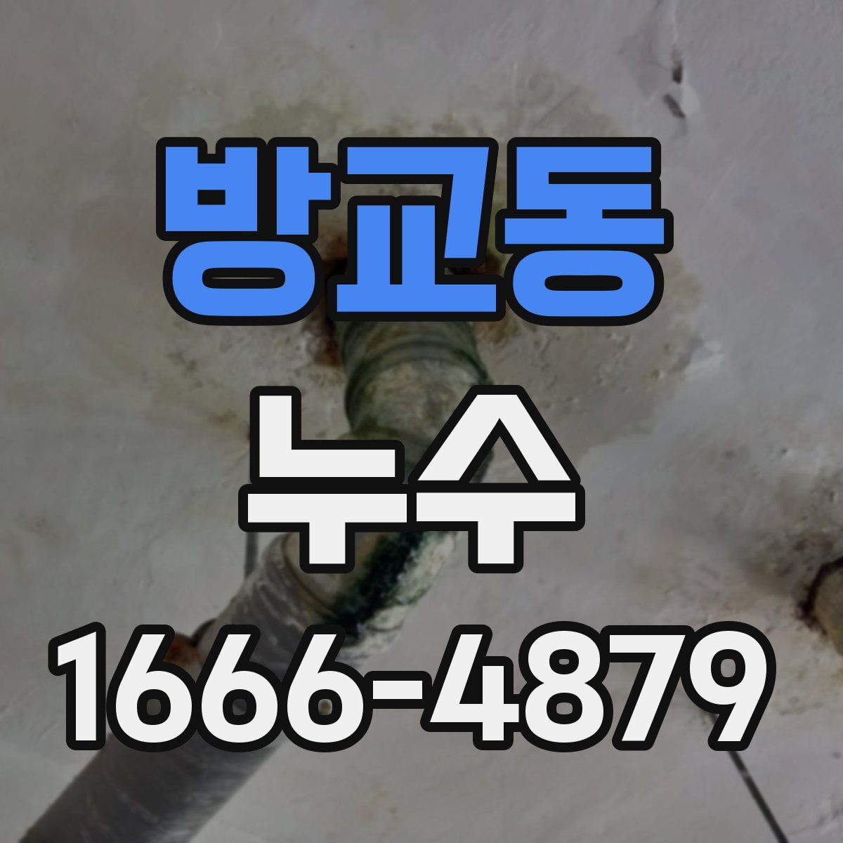 방교동 누수