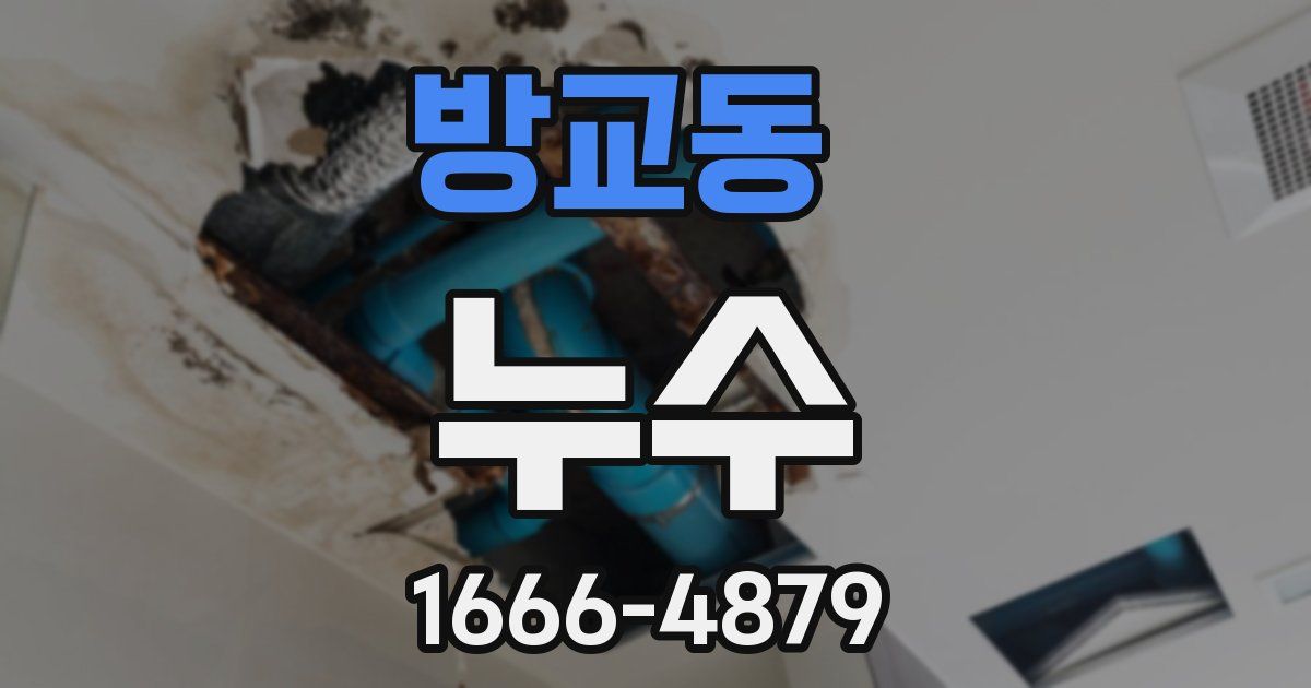 방교동 누수