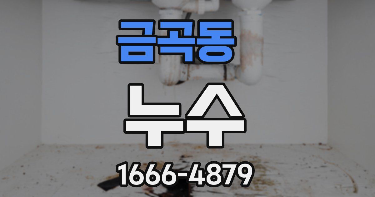 금곡동 누수