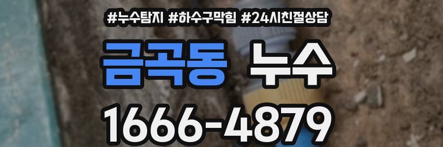 금곡동 누수