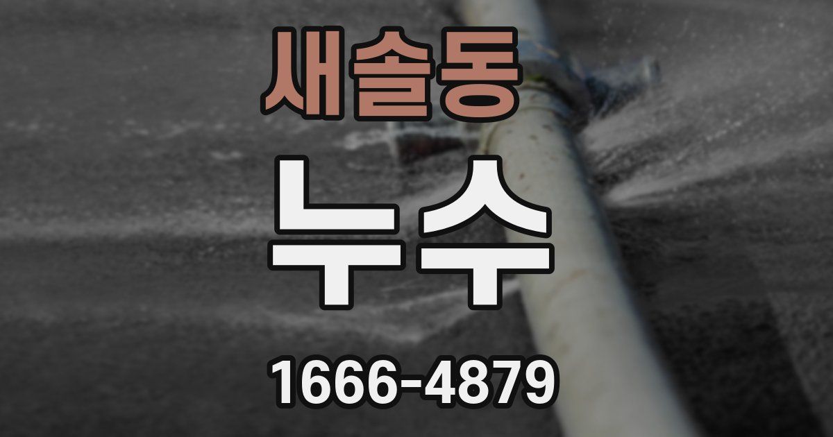 새솔동 누수