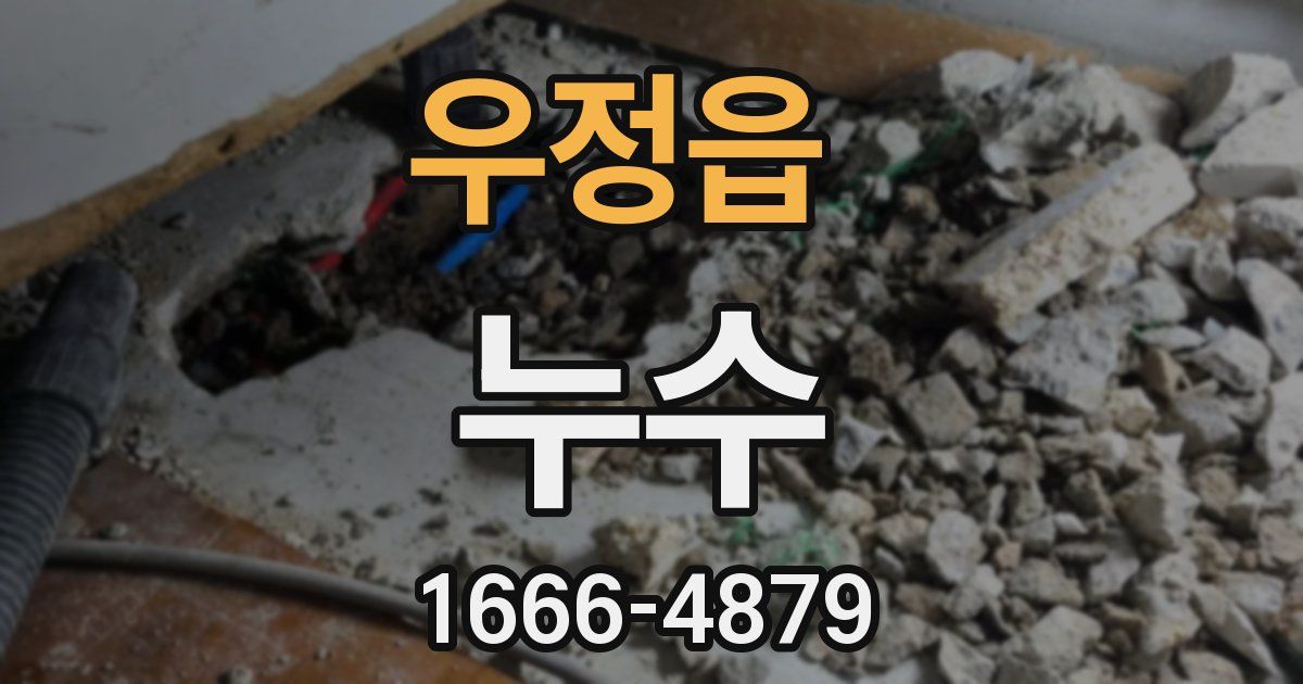 우정읍 누수