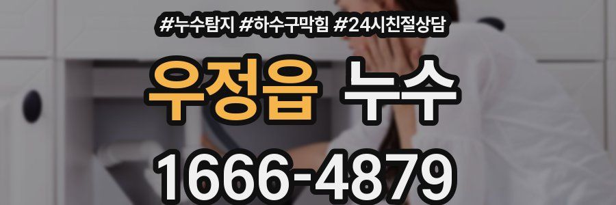 우정읍 누수