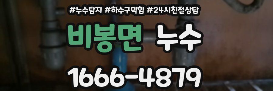 비봉면 누수