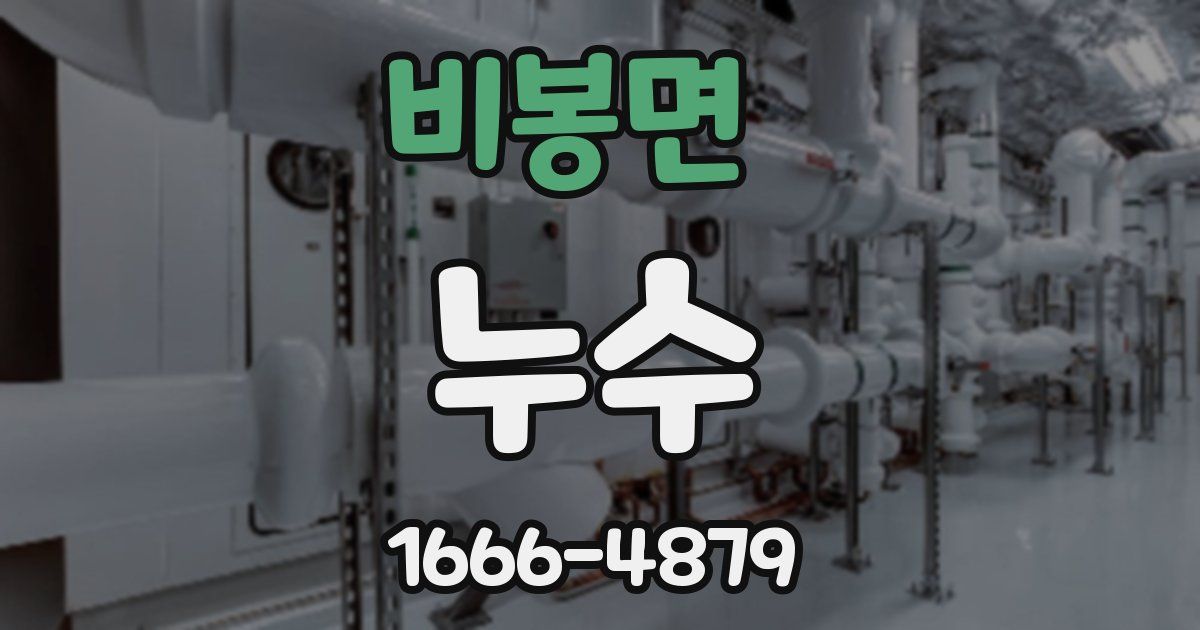 비봉면 누수