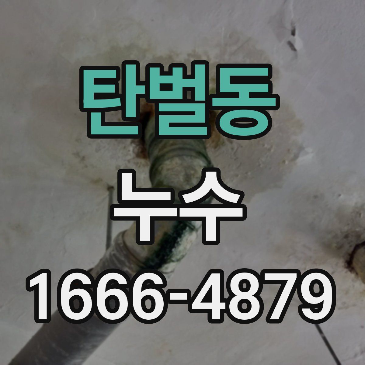 탄벌동 누수