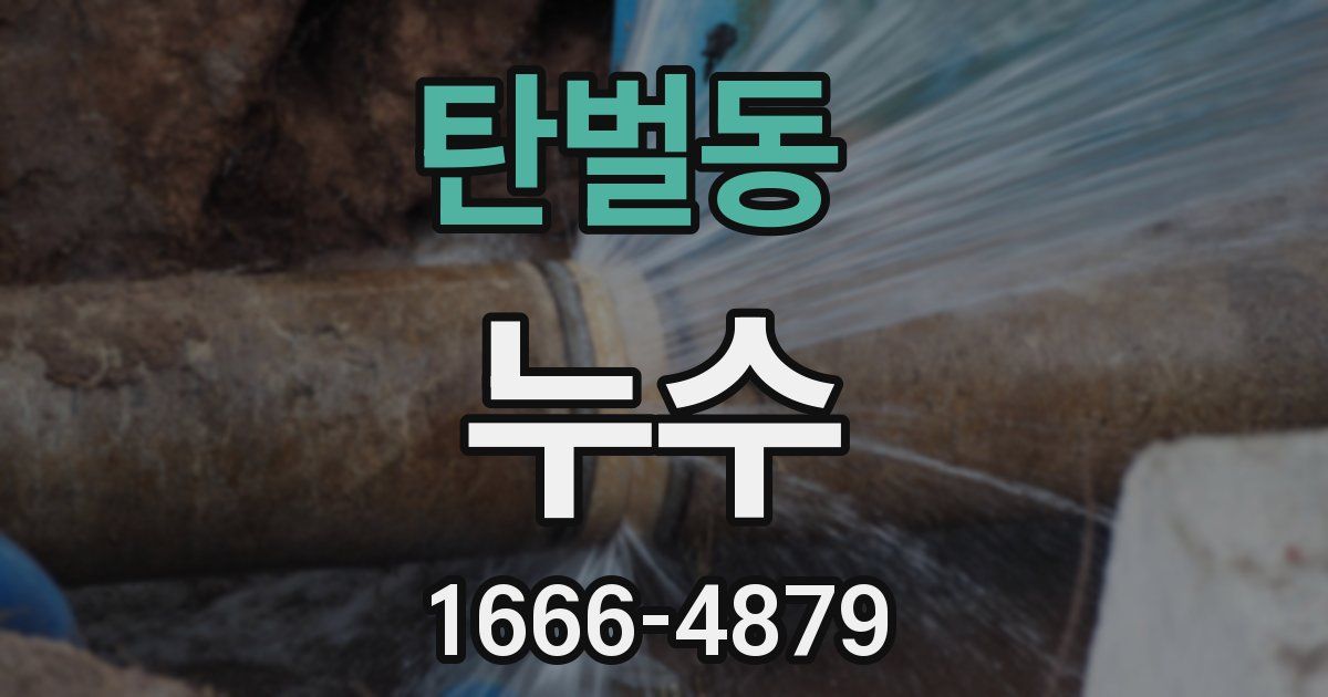 탄벌동 누수