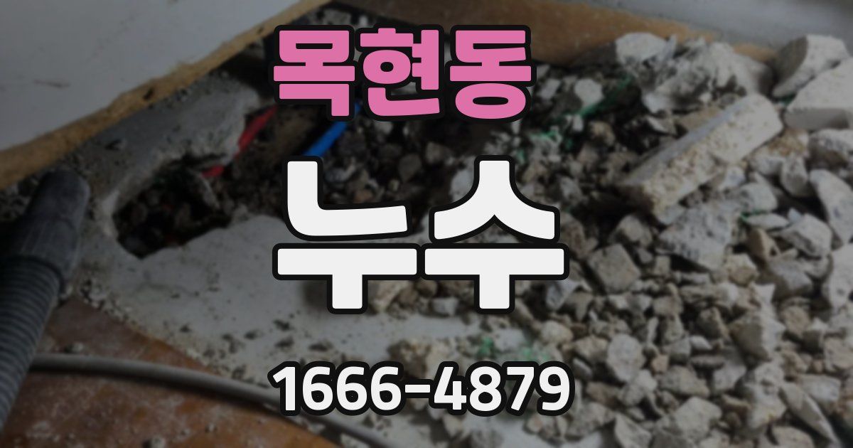 목현동 누수