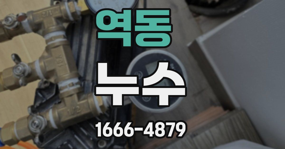 역동 누수