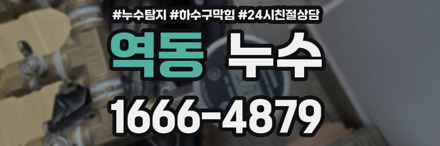 역동 누수
