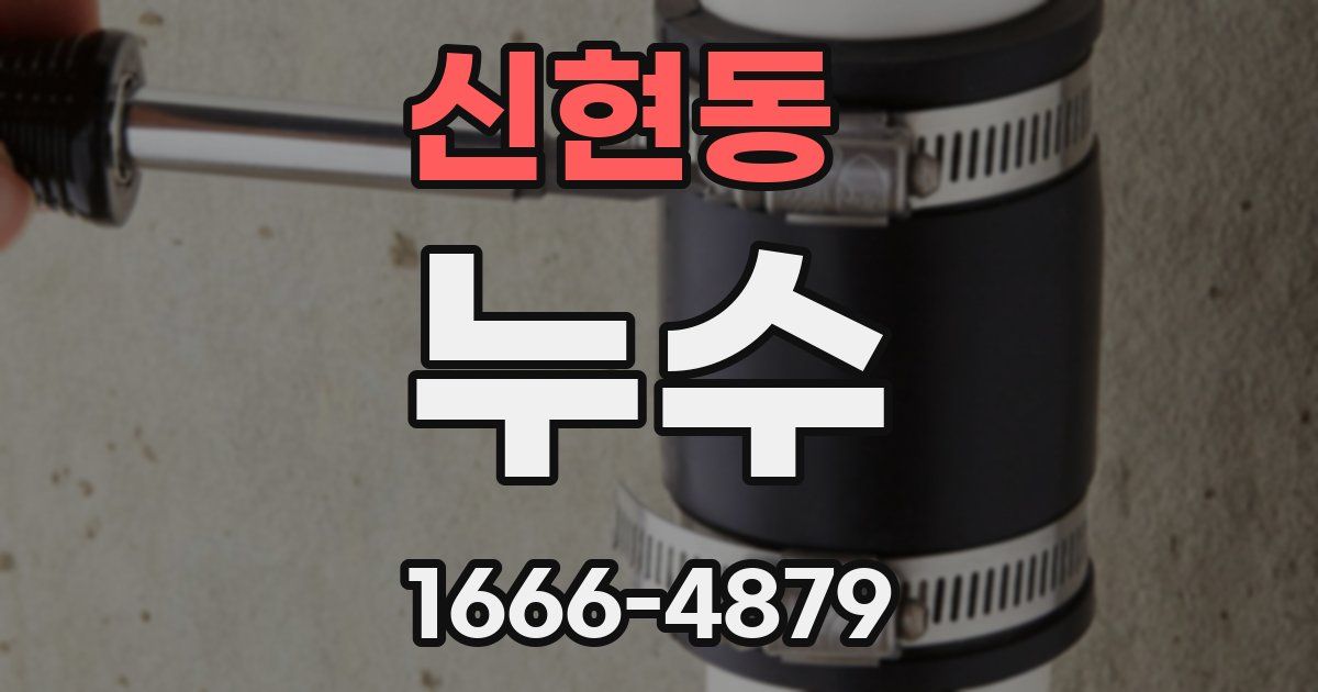 신현동 누수