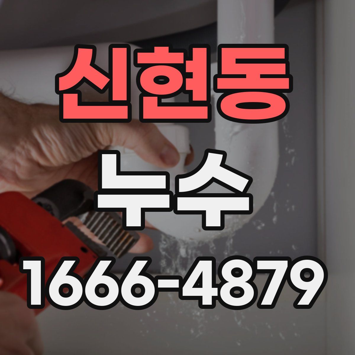신현동 누수