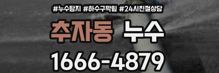 추자동 누수