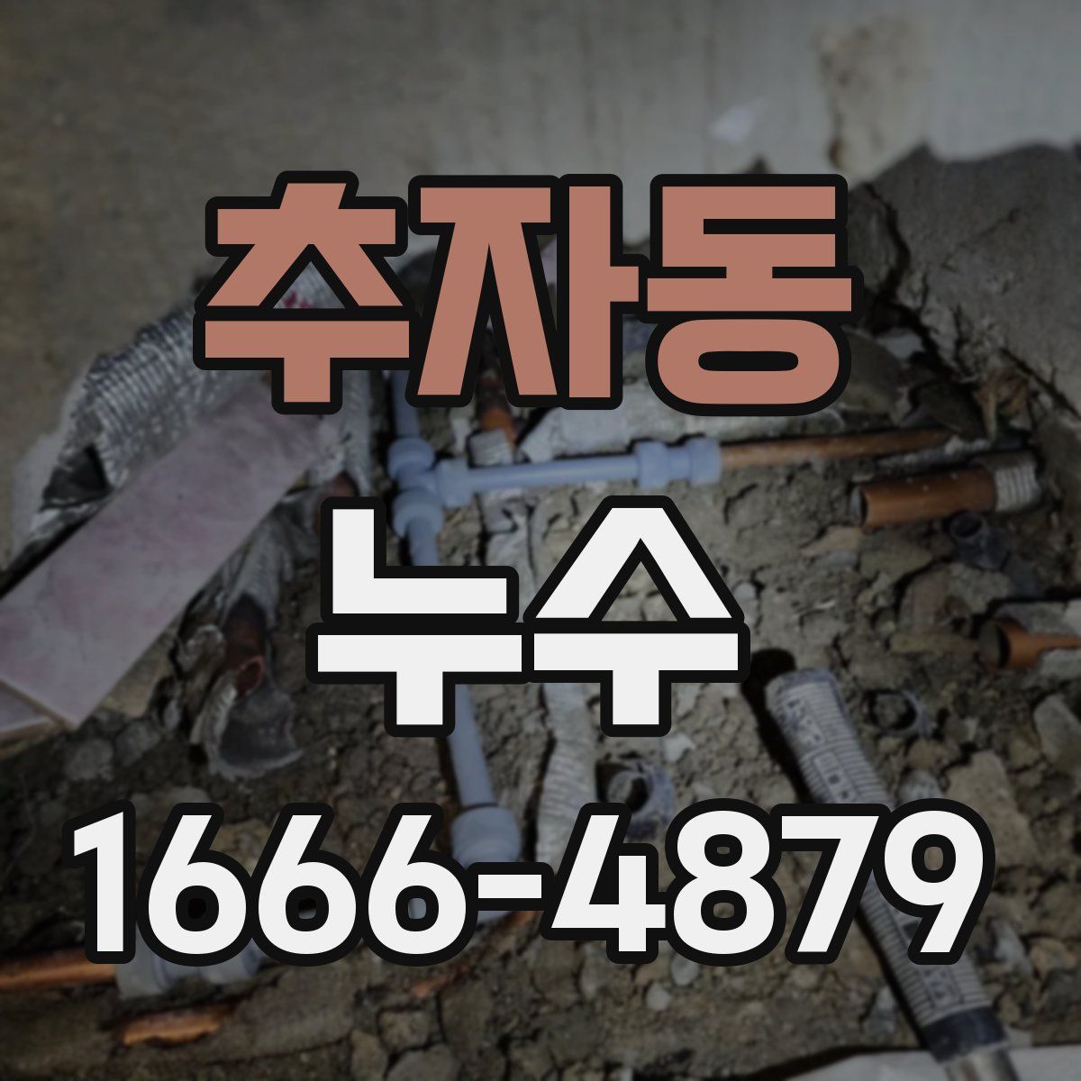 추자동 누수