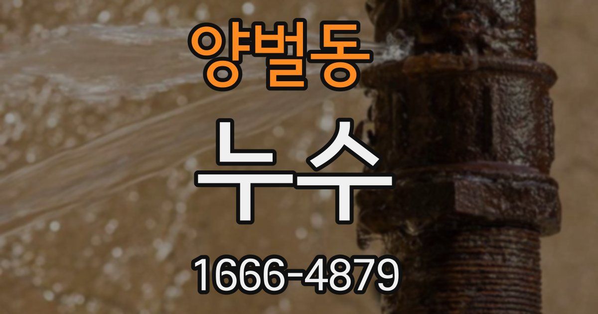 양벌동 누수