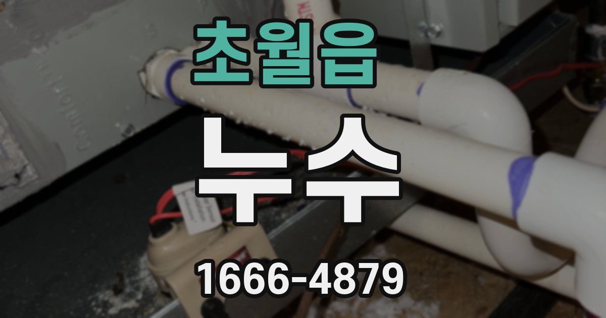 초월읍 누수