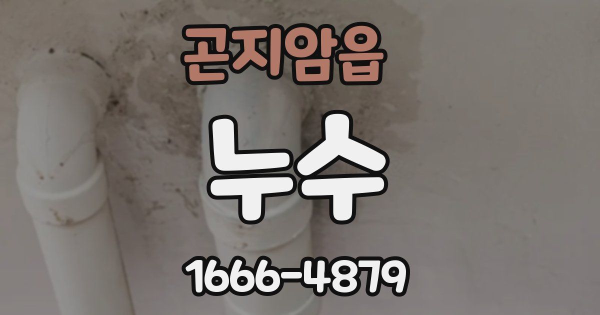 곤지암읍 누수