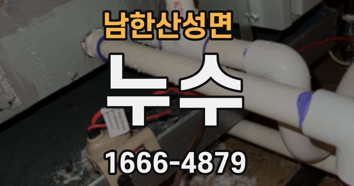 남한산성면 누수