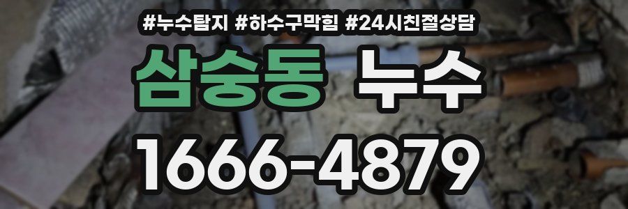 삼숭동 누수