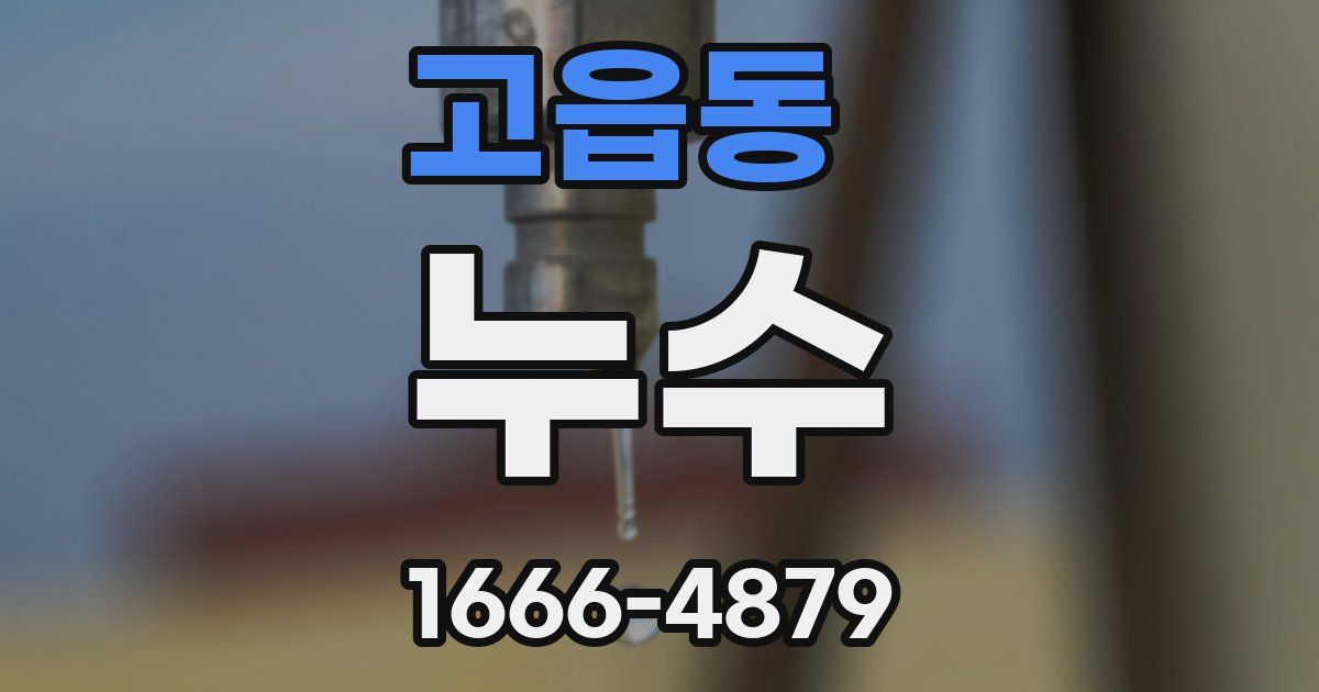 고읍동 누수