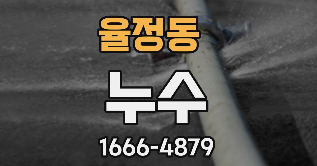 율정동 누수