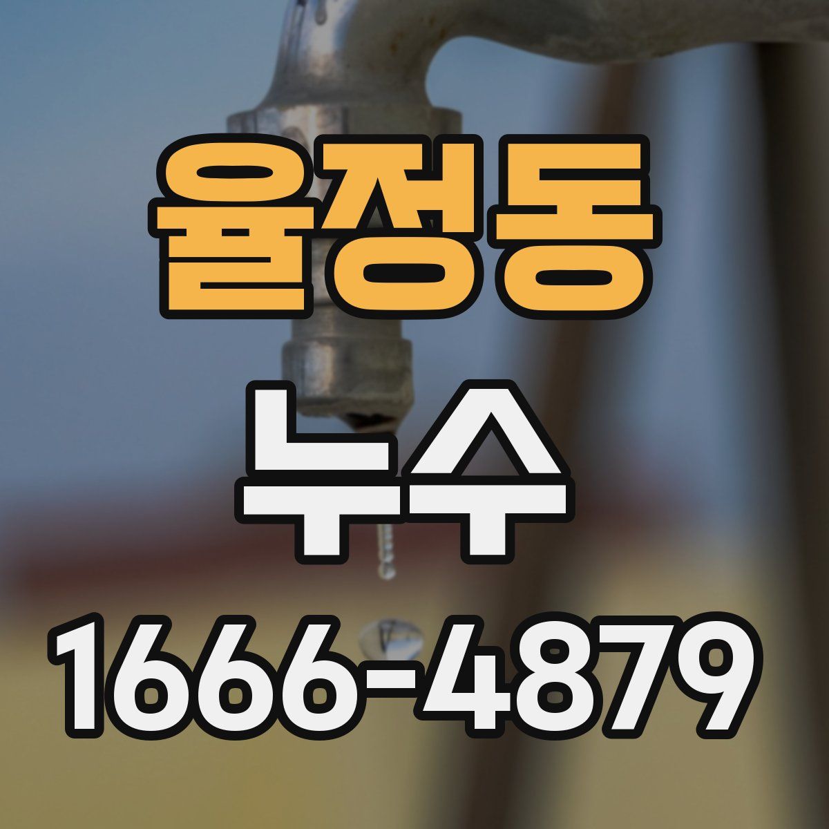 율정동 누수