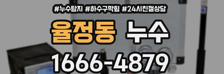율정동 누수