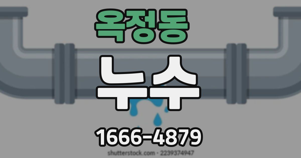 옥정동 누수