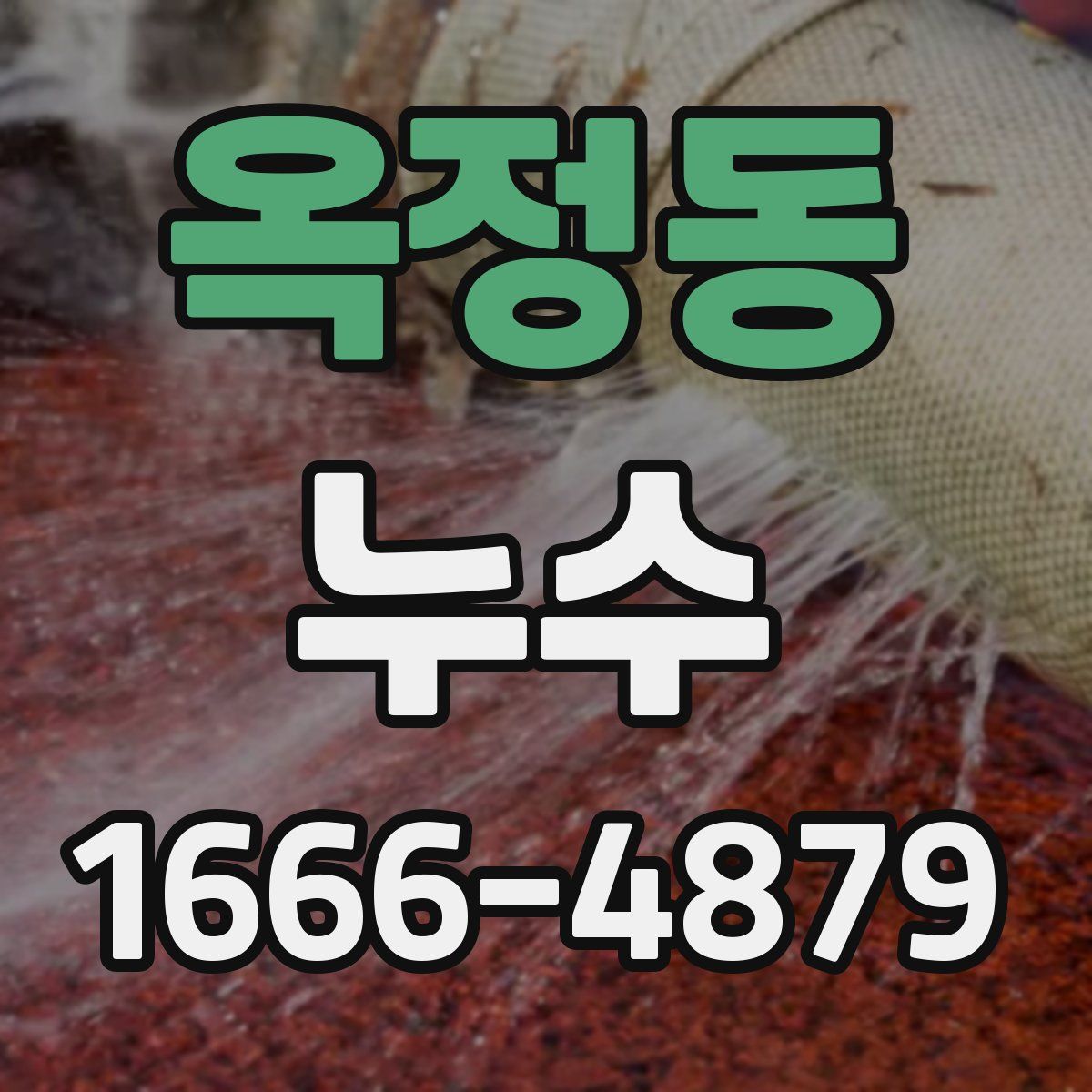 옥정동 누수
