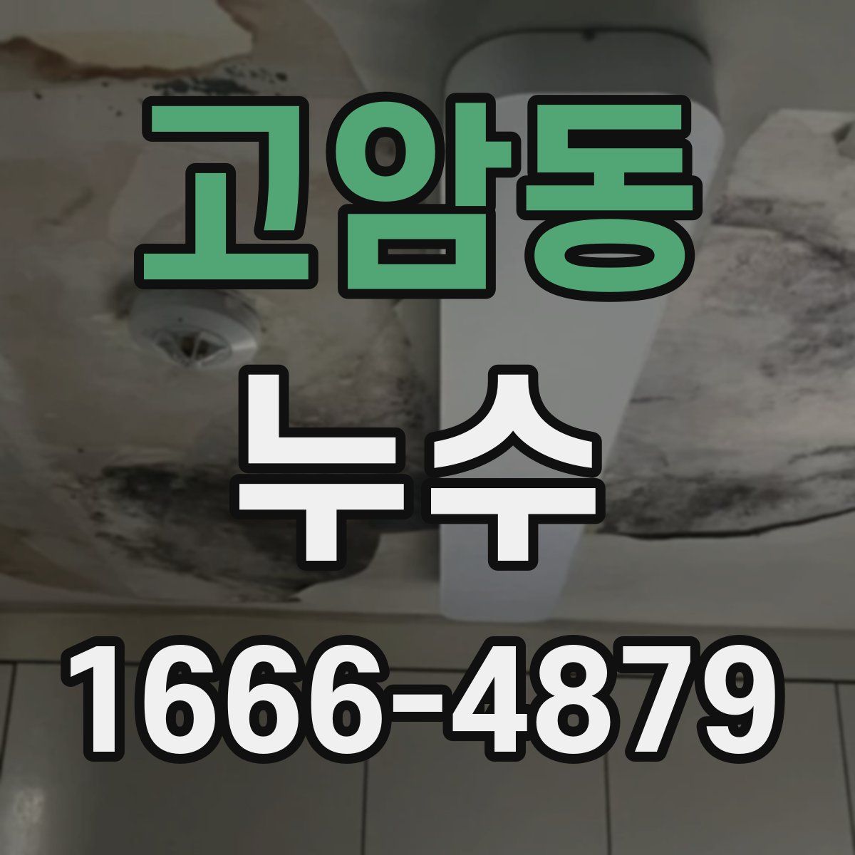 고암동 누수