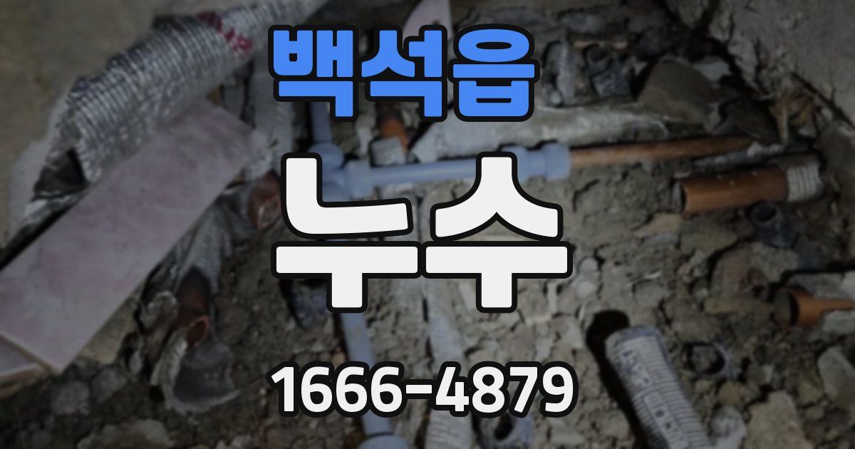 백석읍 누수