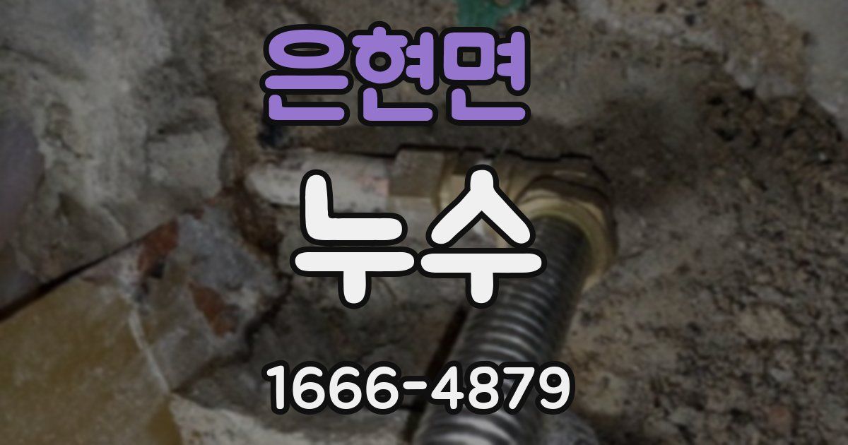 은현면 누수