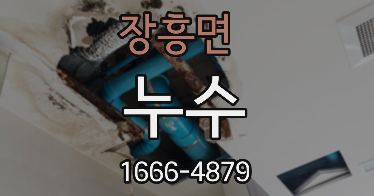 장흥면 누수