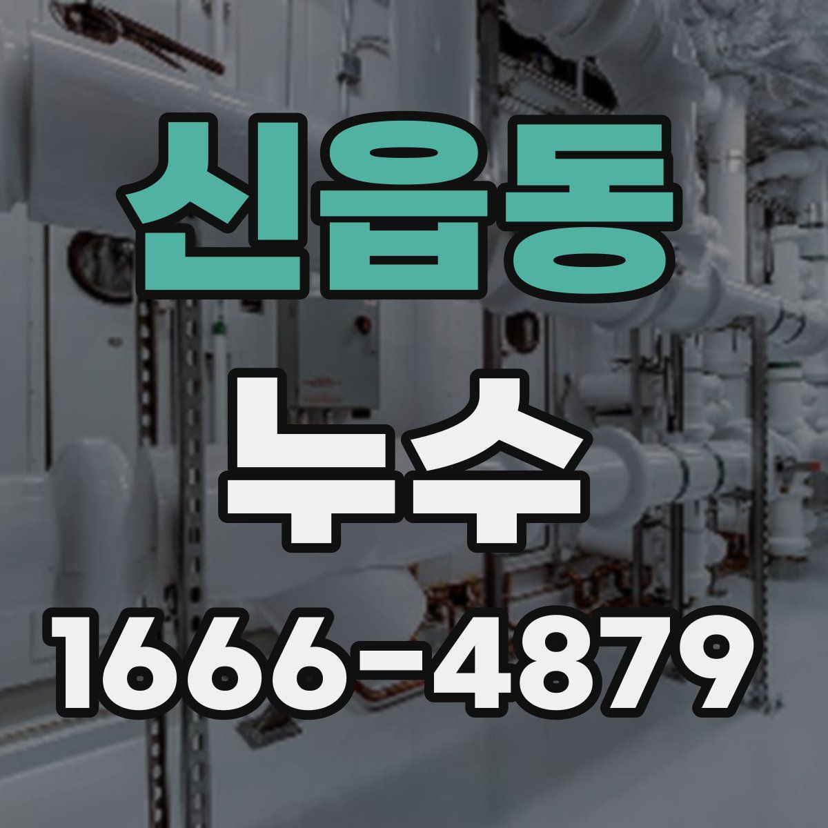 신읍동 누수