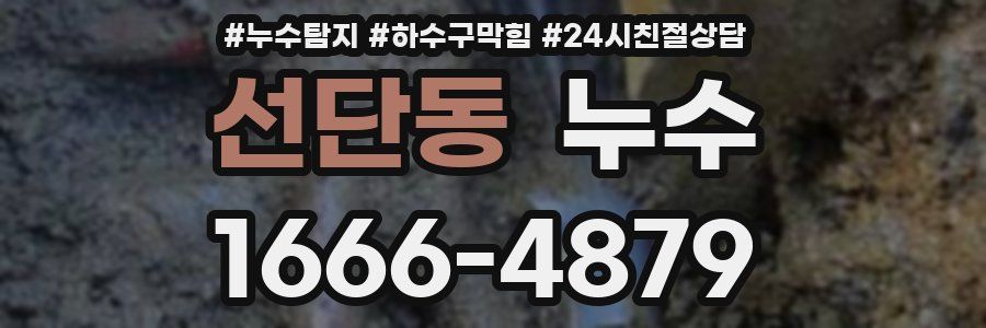 선단동 누수