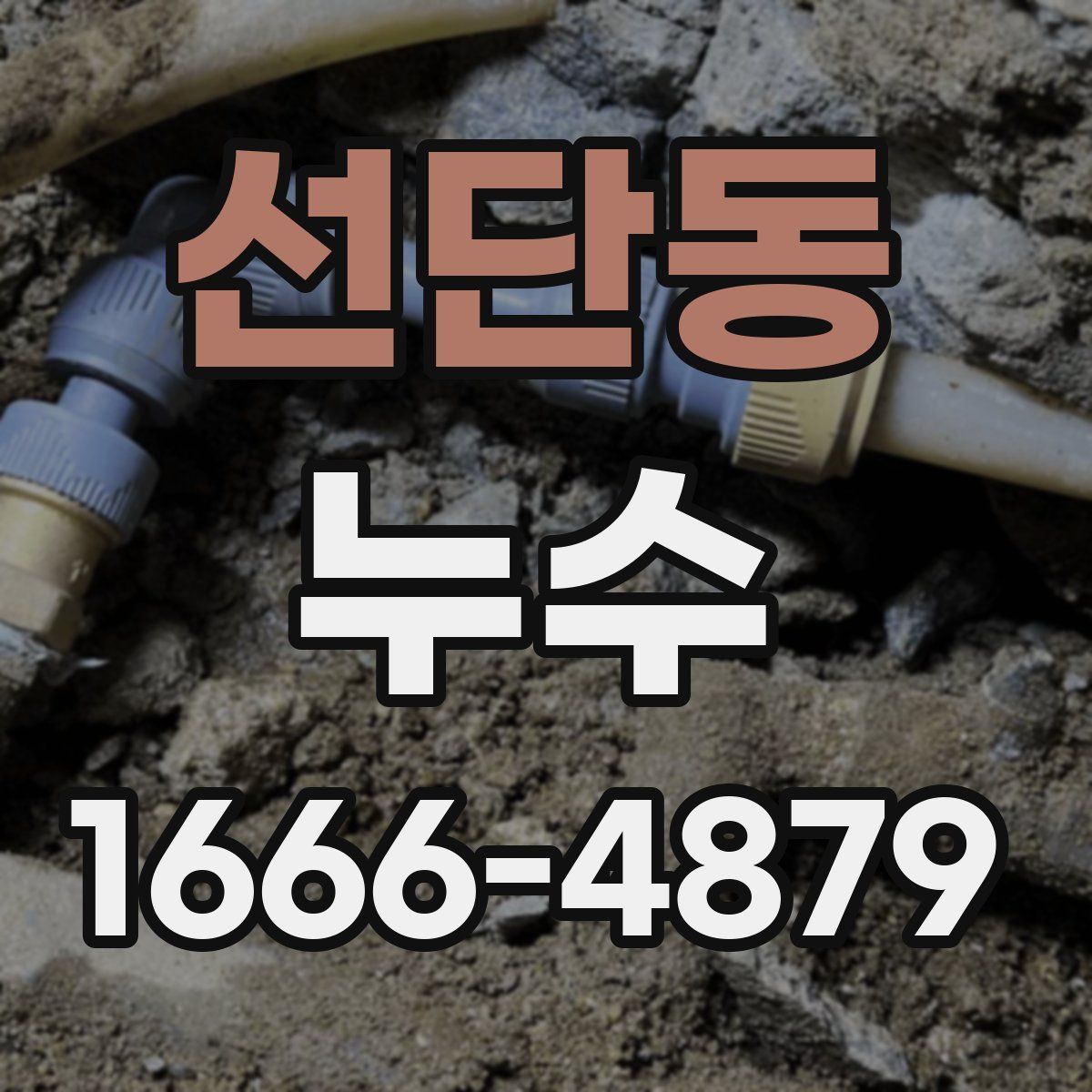 선단동 누수