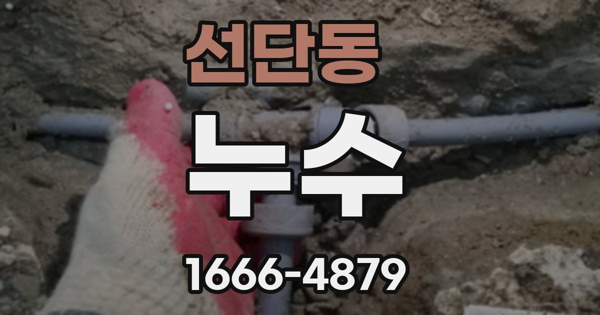 선단동 누수