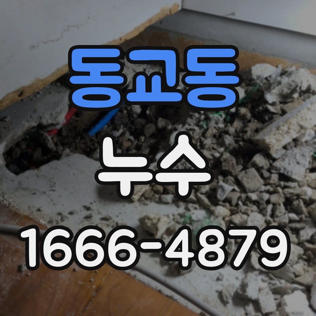 동교동 누수