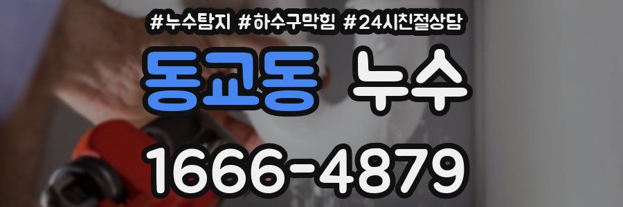 동교동 누수