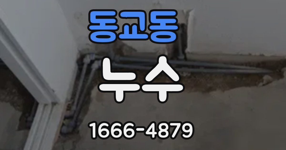 동교동 누수