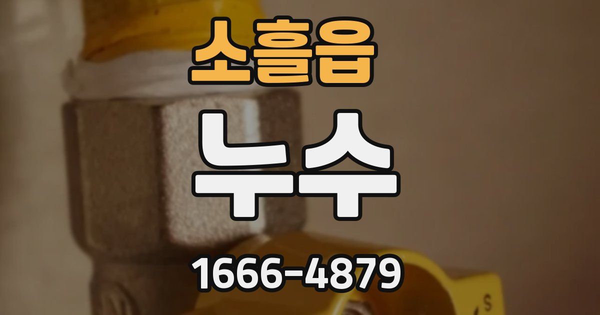 소흘읍 누수