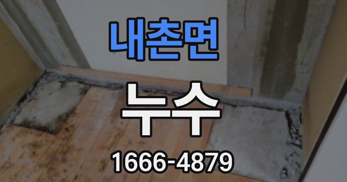 내촌면 누수