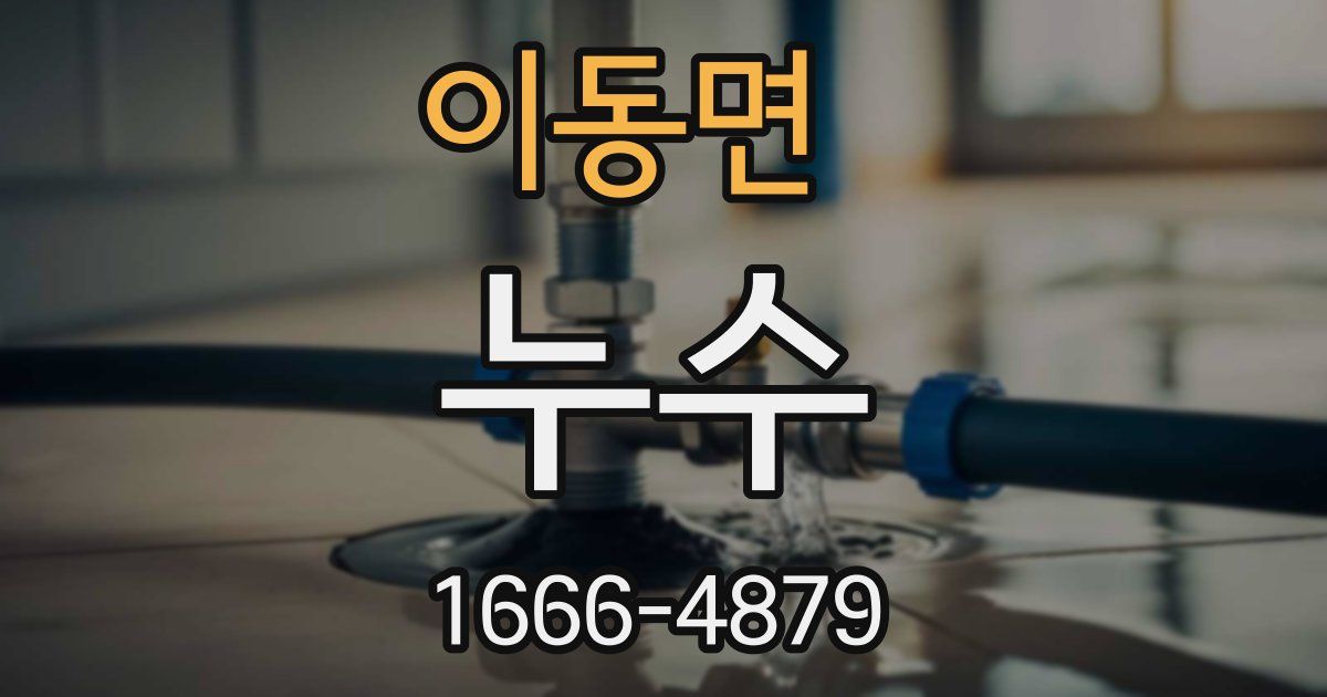 이동면 누수
