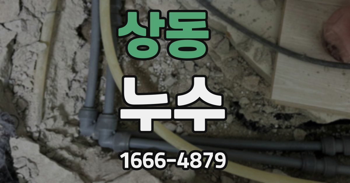 상동 누수