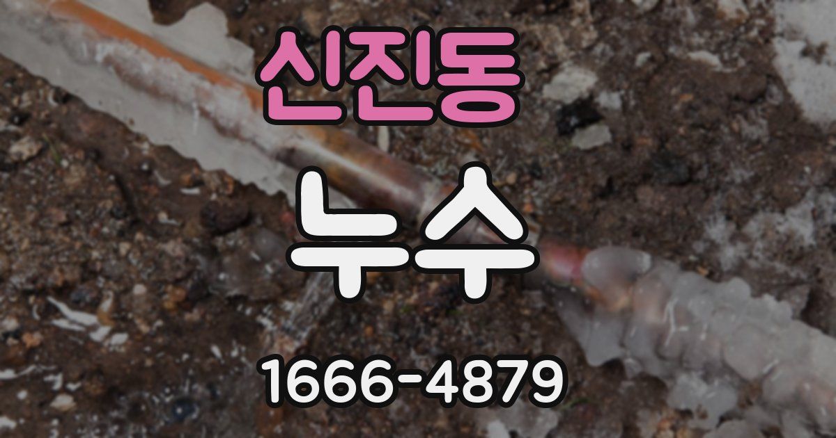 신진동 누수