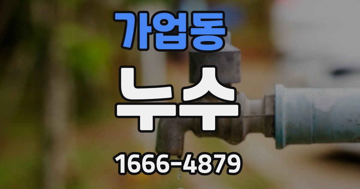 가업동 누수