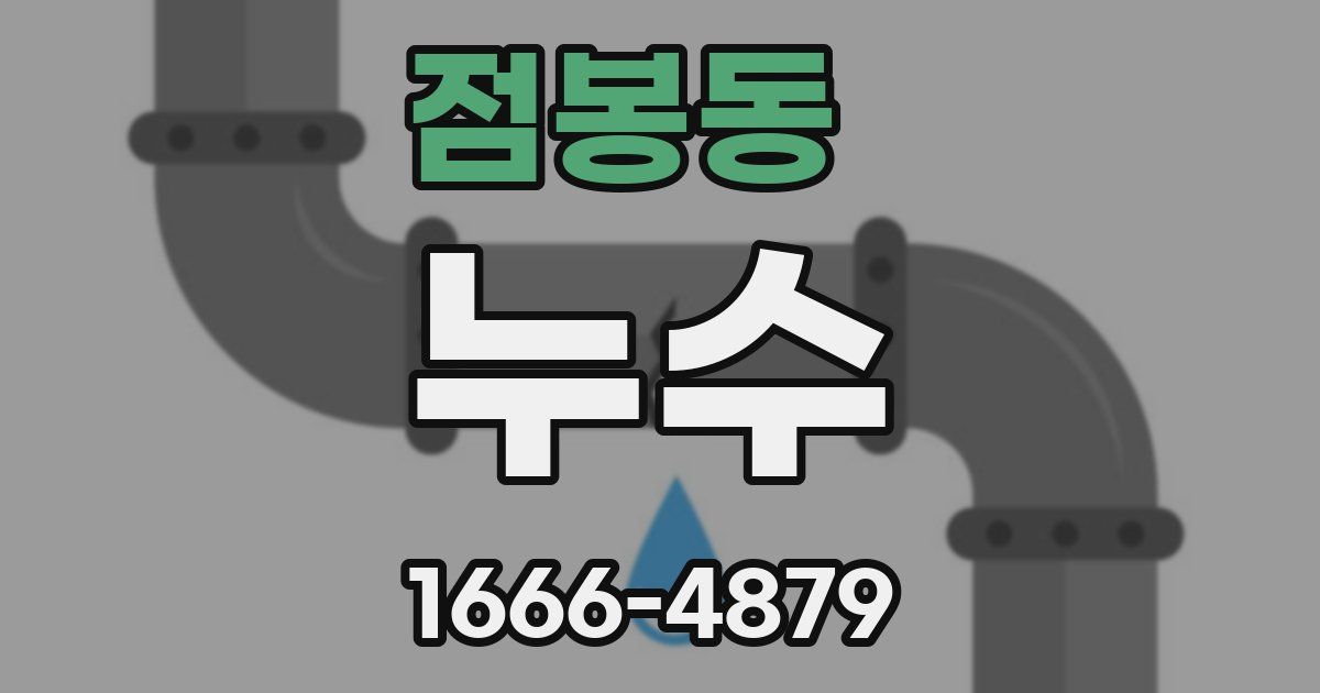 점봉동 누수