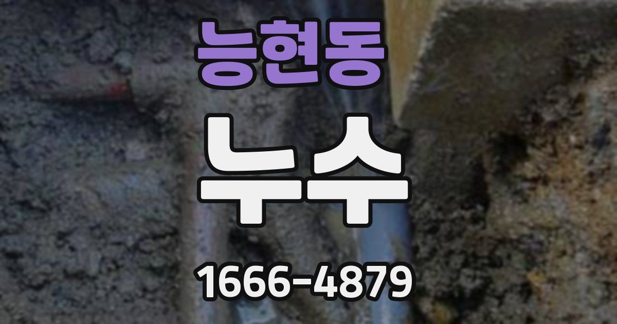 능현동 누수