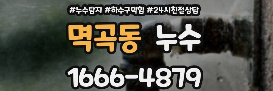 멱곡동 누수