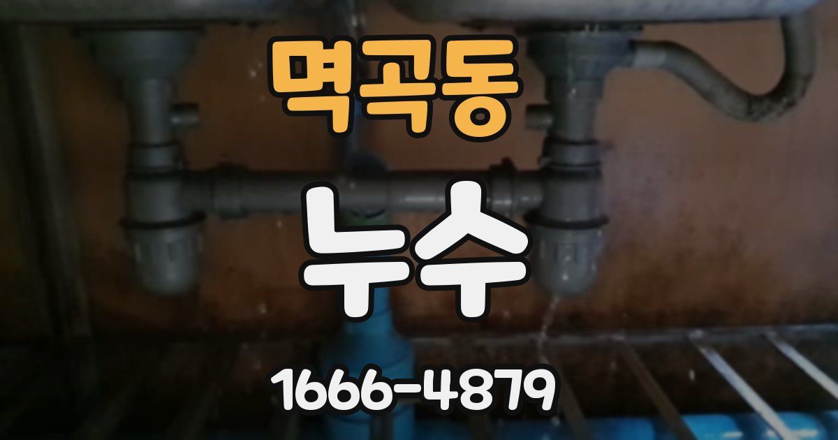 멱곡동 누수